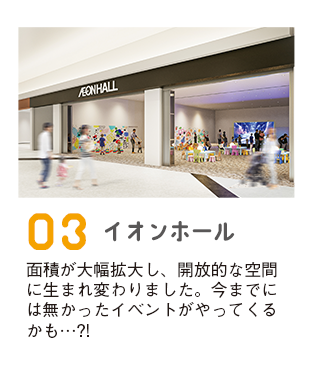 イオンホール